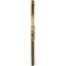 Ekena Millwork Benson Ceiling Medallion (Fits Canopies up to 8"), Hand-Painted Pale Gold, 13 1/8"OD x 8"ID x 5/8"P CM13BNPAS - alternate 4